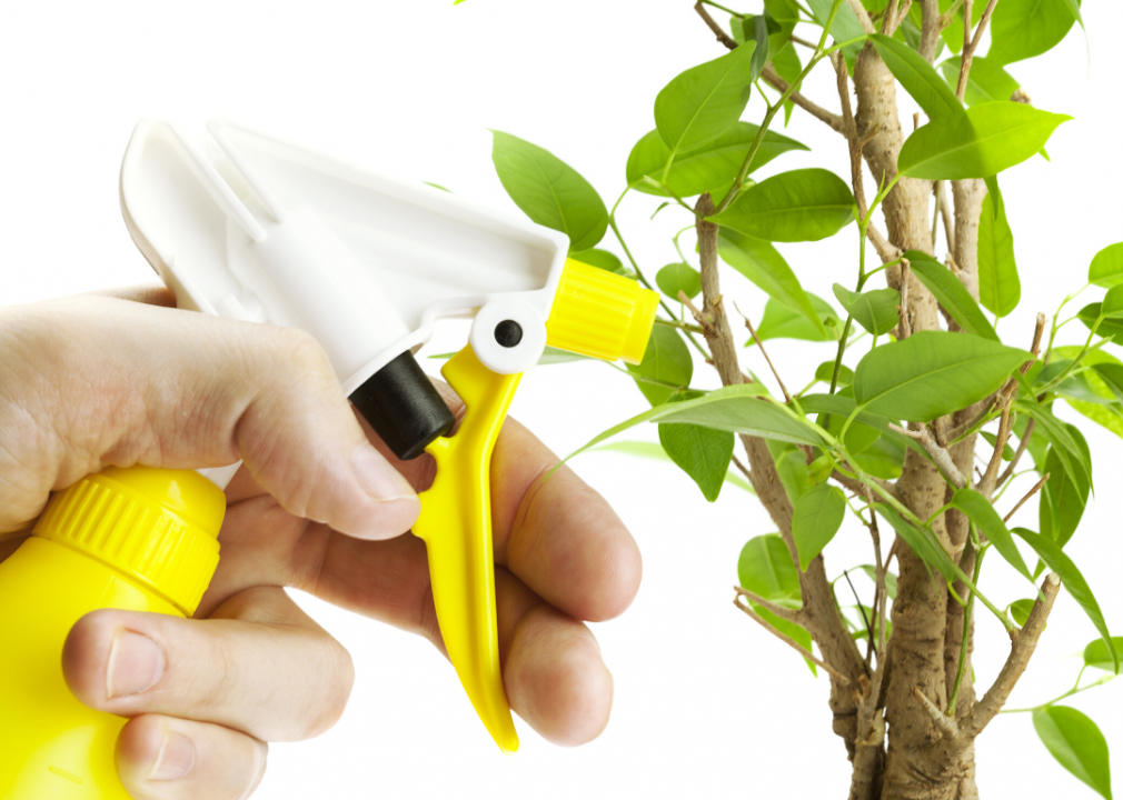 Be strategic with the spray bottle